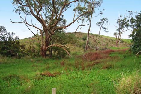 Photo of property in 118 Whangaripo Valley Road, Wellsford, 0974