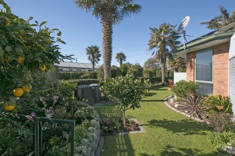 Photo of property in 22a Wills Road, Katikati, 3129