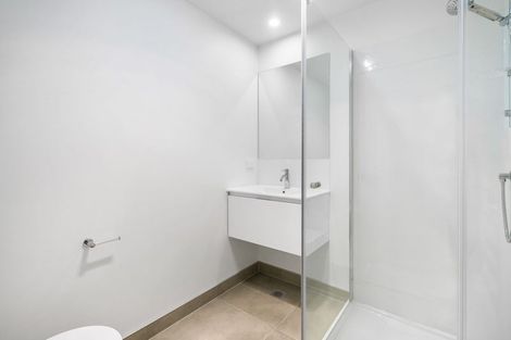 Photo of property in 43 Clay Works Lane, New Lynn, 0600