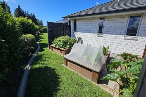 Photo of property in 15 Layla Place, Katikati, 3178