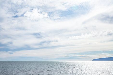 Photo of property in 1598 Cape Palliser Road, Cape Palliser, Featherston, 5772