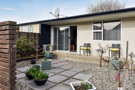 Photo of property in 58c Albert Street, Saint Clair, Dunedin, 9012