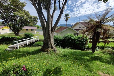 Photo of property in 90 Fairfax Street, Murchison, 7007