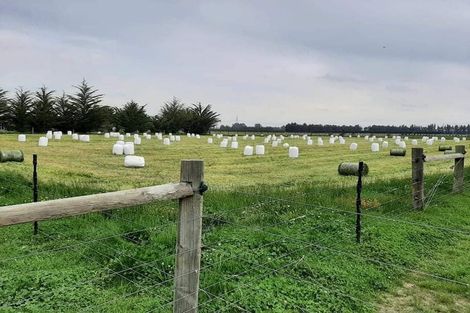 Photo of property in 175 German Road, Cust, Rangiora, 7471