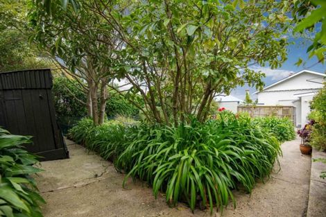 Photo of property in 30 Oakland Street, Andersons Bay, Dunedin, 9013