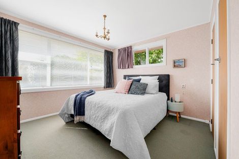 Photo of property in 101 Lewis Street, Glenview, Hamilton, 3206