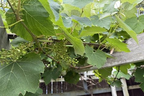 Photo of property in 190 Universal Drive, Henderson, Auckland, 0610