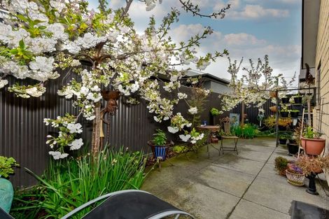 Photo of property in 42c Oram Avenue, New Brighton, Christchurch, 8061