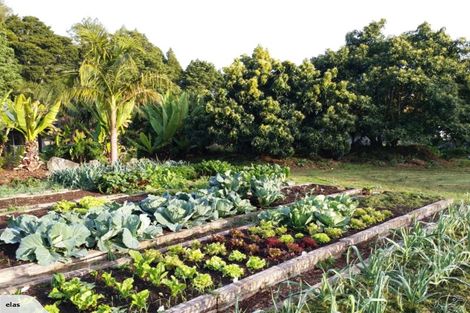 Photo of property in 704 Ngunguru Road, Glenbervie, Whangarei, 0173