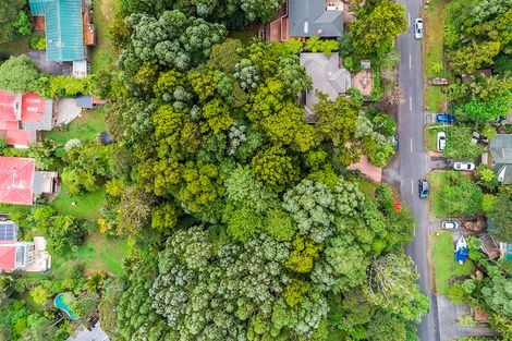 Photo of property in 97 Waima Crescent, Titirangi, Auckland, 0604