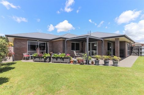 Photo of property in 14 Estate Grove, Inglewood, 4330