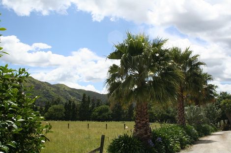 Photo of property in 789 Back Ormond Road, Makauri, Gisborne, 4071