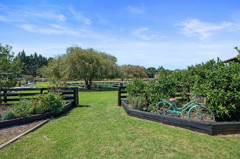 Photo of property in 240 Mill Flat Road, Riverhead, 0793