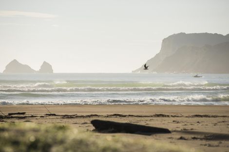 Photo of property in 10 Solander Street, Tolaga Bay, 4077