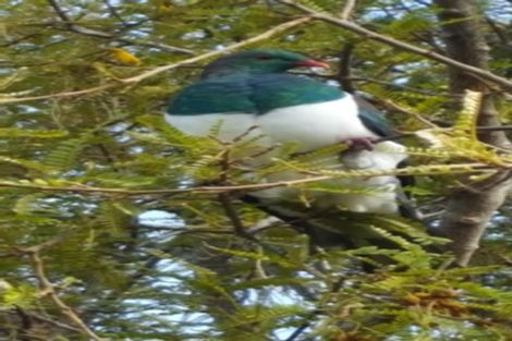 Photo of property in 60 Puhoi Road, Puhoi, Warkworth, 0994