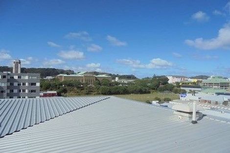 Photo of property in Urbane Apartments, 13/29 Webb Street, Mount Cook, Wellington, 6011