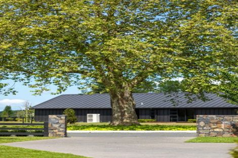 Photo of property in 7 Orchard Place, Matamata, 3472