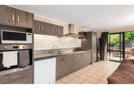 Photo of property in 20 Collingwood Street, Judea, Tauranga, 3110