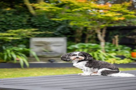 Photo of property in 500c Harewood Road, Harewood, Christchurch, 8051