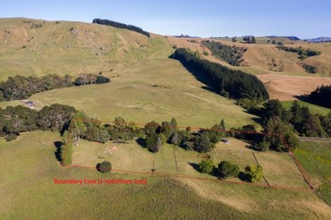 Photo of property in 250 Hendley Road, Patoka, Napier, 4186