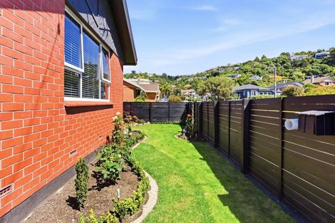 Photo of property in 20 Albert Street, Saint Clair, Dunedin, 9012
