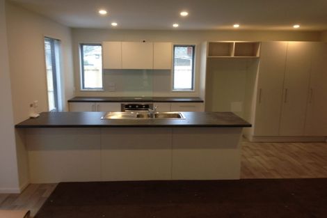 Photo of property in 47a Mathesons Road, Phillipstown, Christchurch, 8011