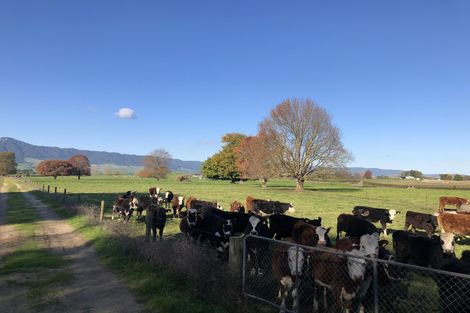 Photo of property in 34 Taihoa Road North, Matamata, 3473