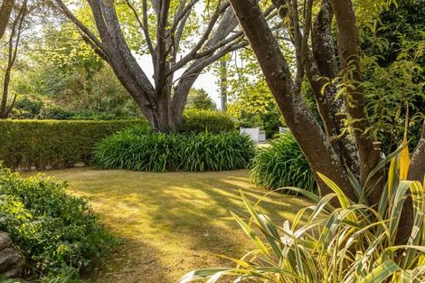 Photo of property in 8 Terrace End, Lansdowne, Masterton, 5810