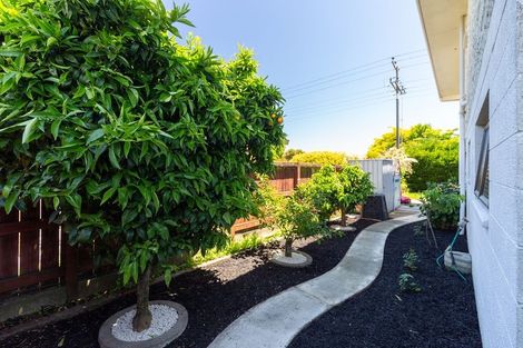 Photo of property in 8a Pateke Street, Stoke, Nelson, 7011