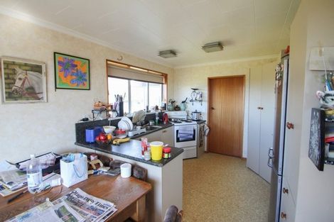 Photo of property in 22 Appleby Street, Hampden, 9410