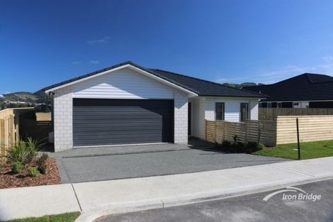 Photo of property in 118 John Burke Drive, Aotea, Porirua, 5024