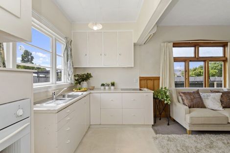 Photo of property in 226 Lyttelton Street, Spreydon, Christchurch, 8024