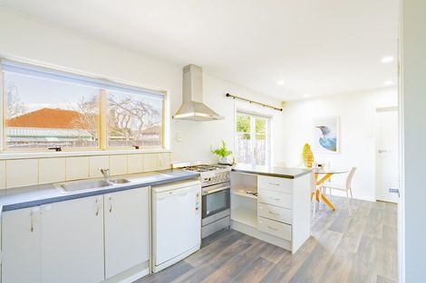 Photo of property in 58b Nixon Street, Hamilton East, Hamilton, 3216