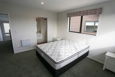 Photo of property in 29 Euston Street, Riccarton, Christchurch, 8041