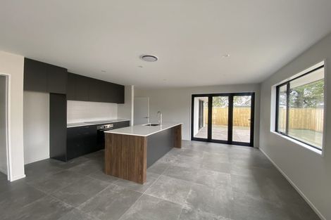 Photo of property in 19 Crossley Avenue, Woodend, 7610