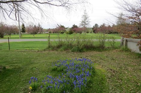 Photo of property in 21 Gray Street, Fairlie, 7925