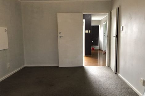 Photo of property in 9 Larsen Road, Panmure, Auckland, 1072