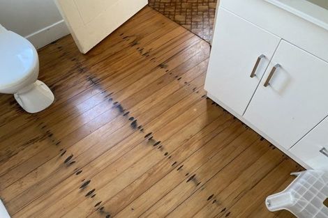 Photo of property in 19 Knighton Road, Hillcrest, Hamilton, 3216