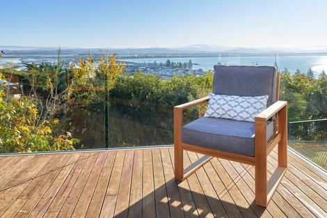 Photo of property in 32a Roslyn Road, Bluff Hill, Napier, 4110