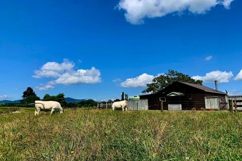 Photo of property in 19 Lerwick Lane, Nukuhou, 3196