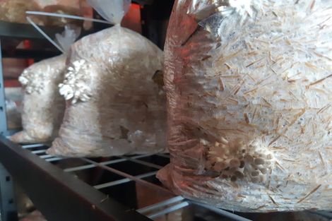 Photo of property in 405 Nightcaps-ohai Highway, Ohai, Otautau, 9689