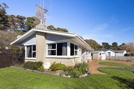Photo of property in 21 Fitzroy Avenue, Fitzroy, Hamilton, 3206
