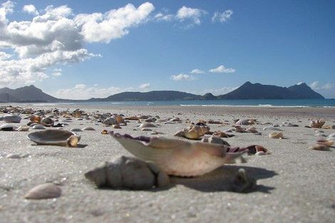 Photo of property in 16 Flax Street, Ruakaka, 0116