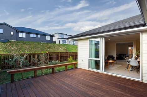 Photo of property in 167 John Burke Drive, Aotea, Porirua, 5024