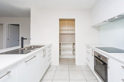 Photo of property in 81 Manse Road, Leeston, 7632