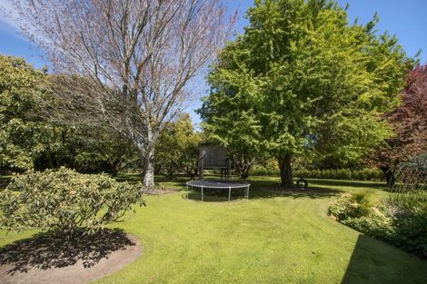 Photo of property in 13b Astelia Drive, Omokoroa, 3114