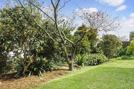 Photo of property in 36b George Street, Morrinsville, 3300