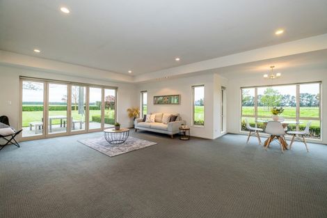 Photo of property in 255 Lills Road, Tinwald, Ashburton, 7778