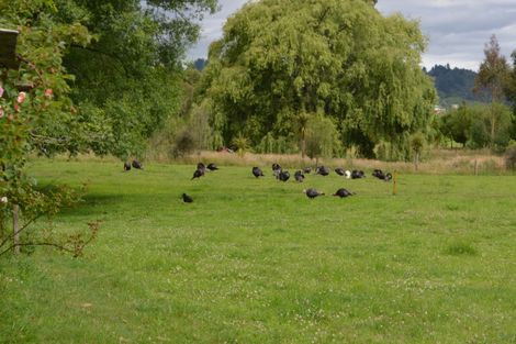 Photo of property in 1156 Main Road, Galatea, Murupara, 3079