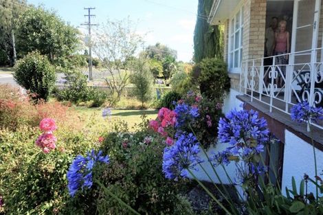 Photo of property in 46 Marchant Street, Putaruru, 3411